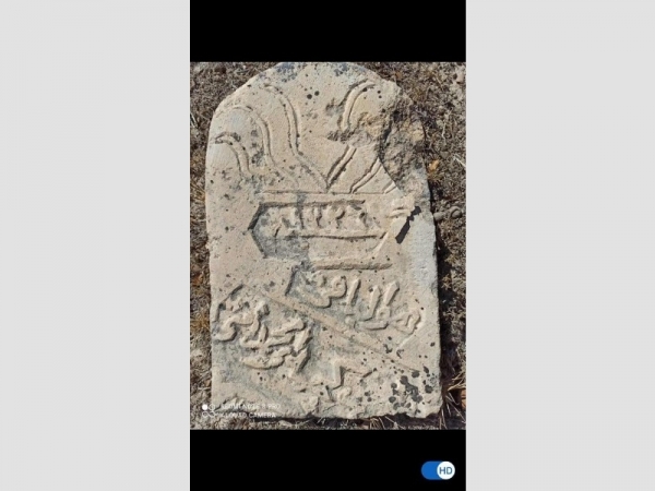 elmalıda kelepir tek tapulu